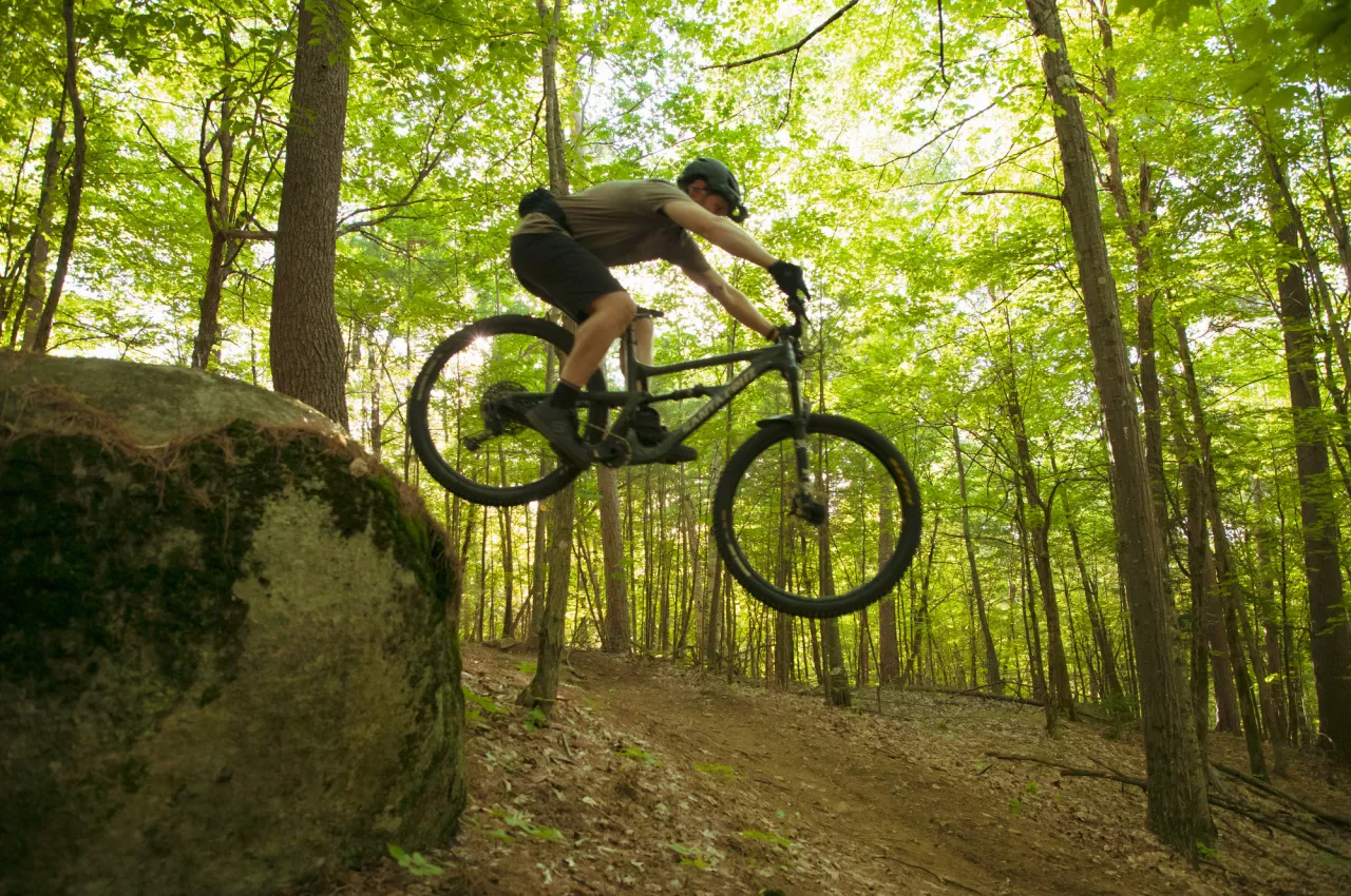 A mountain bike rider jumps off a boulder on a wooded trail.