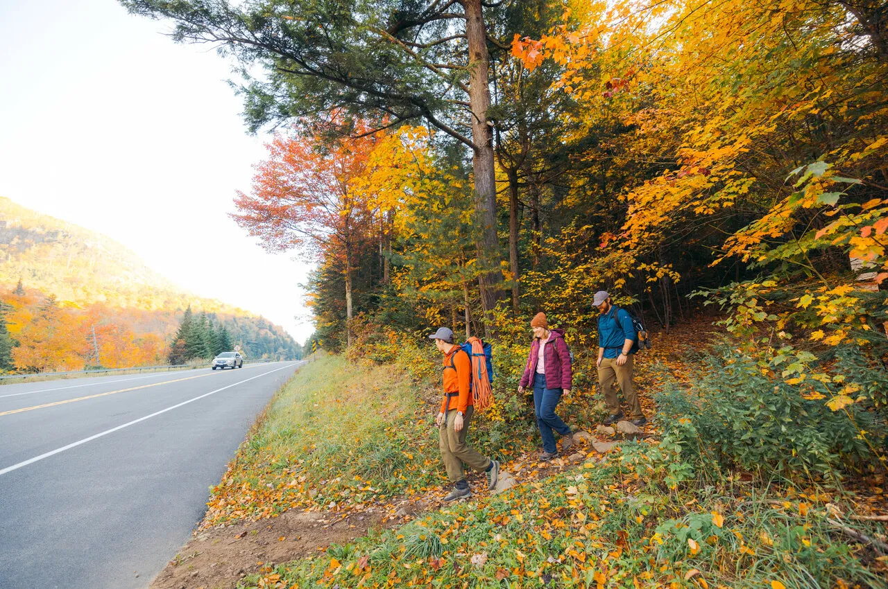 A group of hikers walking out of the woods towards a road with fall foliage.