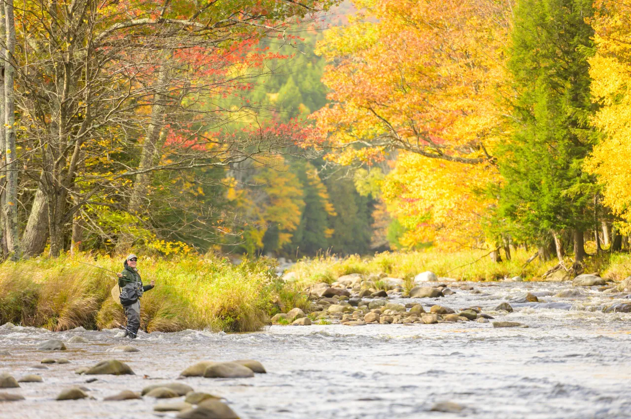 Fisherman stands in river casting with fall colored trees along the shoreline