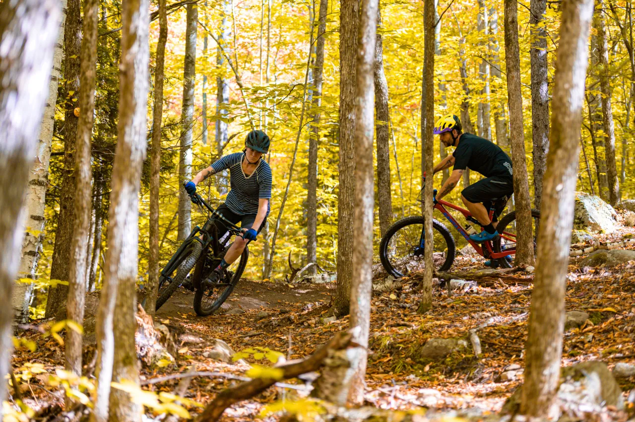 Two mountain bikers on a single track trail in a golden fall forest