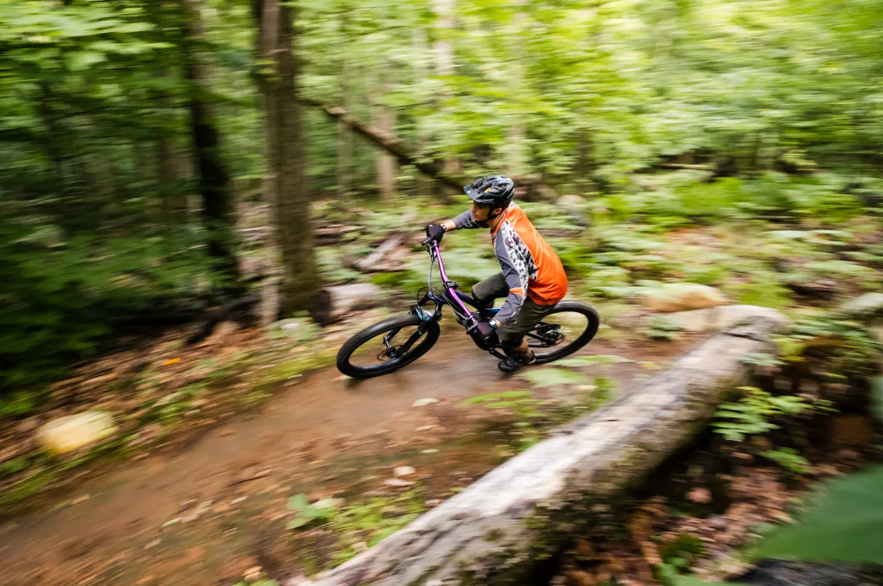 Mountain biker speeding down a forested trail