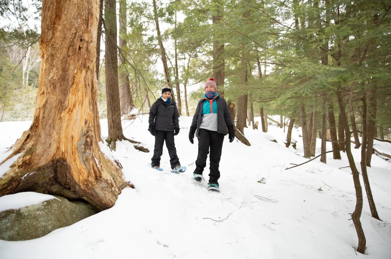 Two hikers walk past large tree on snowy forest trail