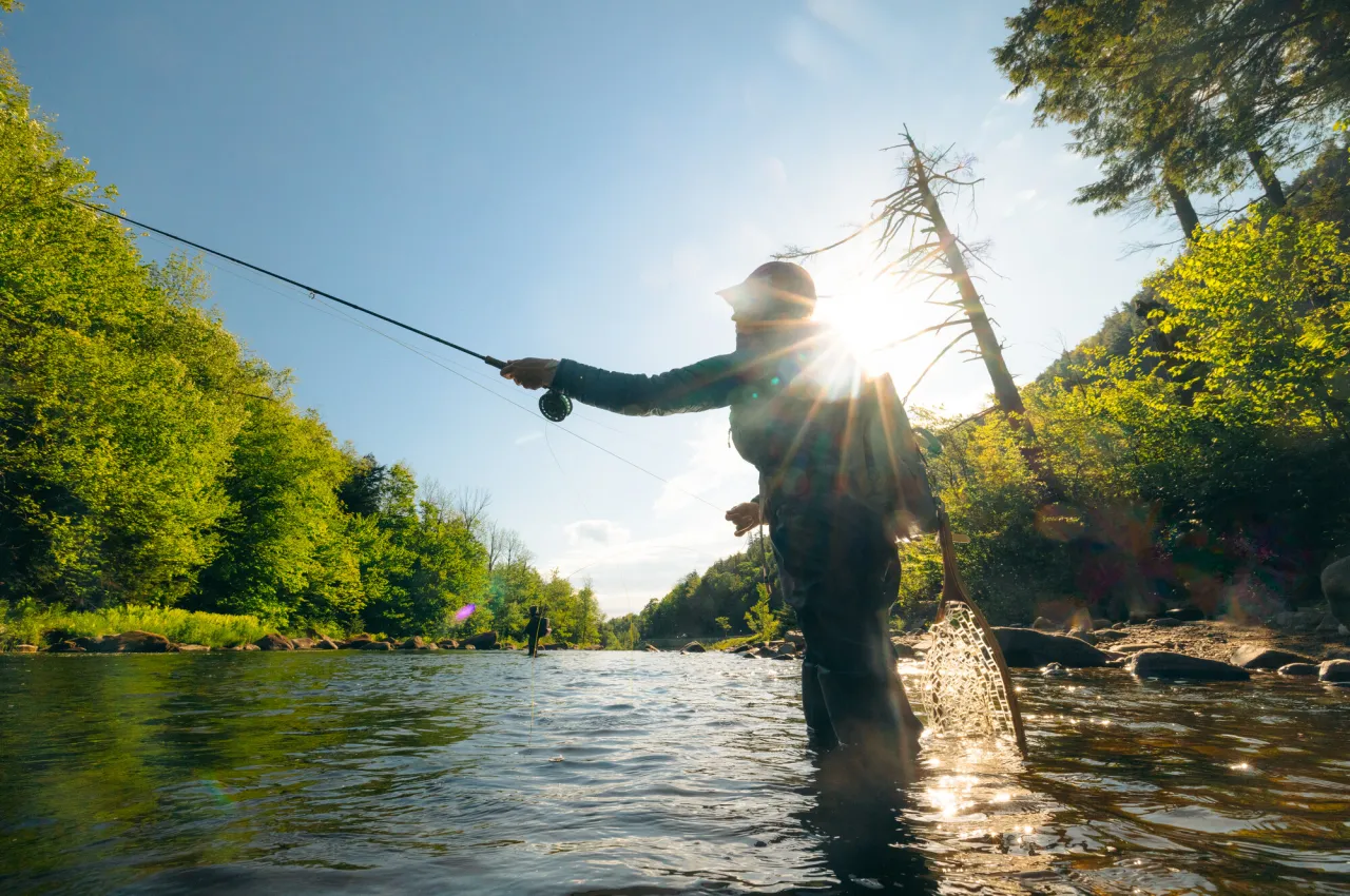 Angler standing knee-deep in river on sunny day casting a fly fishing line