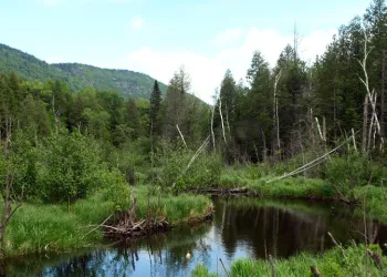 Visible from the road