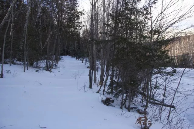 "Poor Man"s Downhill" as it approaches Marble Mt. Road