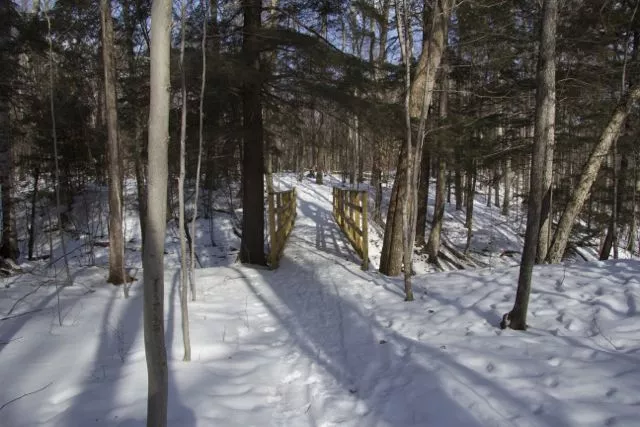 The new bridge on the Connector Trail