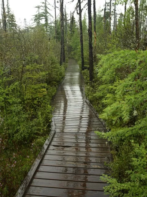 Boardwalk