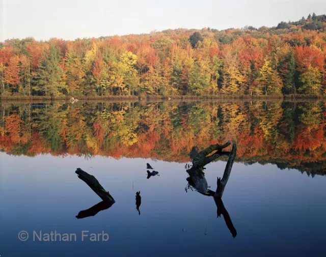 One of Nathan Farb's large format images. Echo Pond, located in Lake Placid