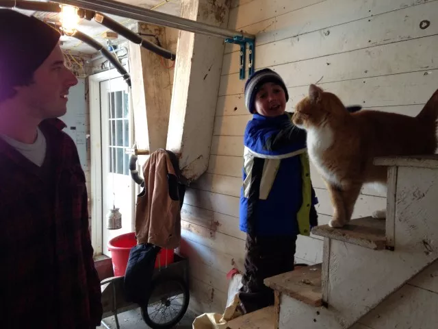 The barn cat