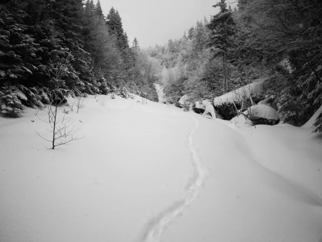 Whiteface Brook