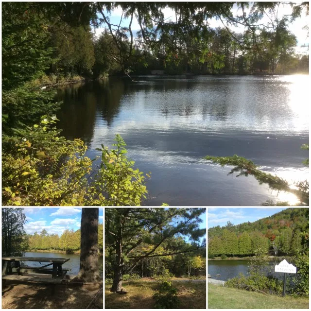 The hiking path around Lake Stevens has many places to enjoy a picnic lunch or stroll while holding hands.