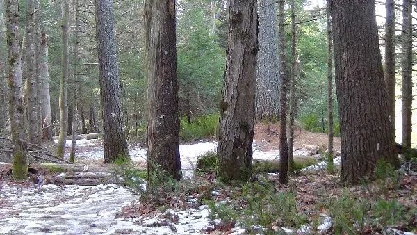 The trail meanders and beckons along the river's edge.