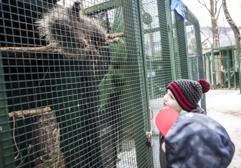 We love getting close to the animals!