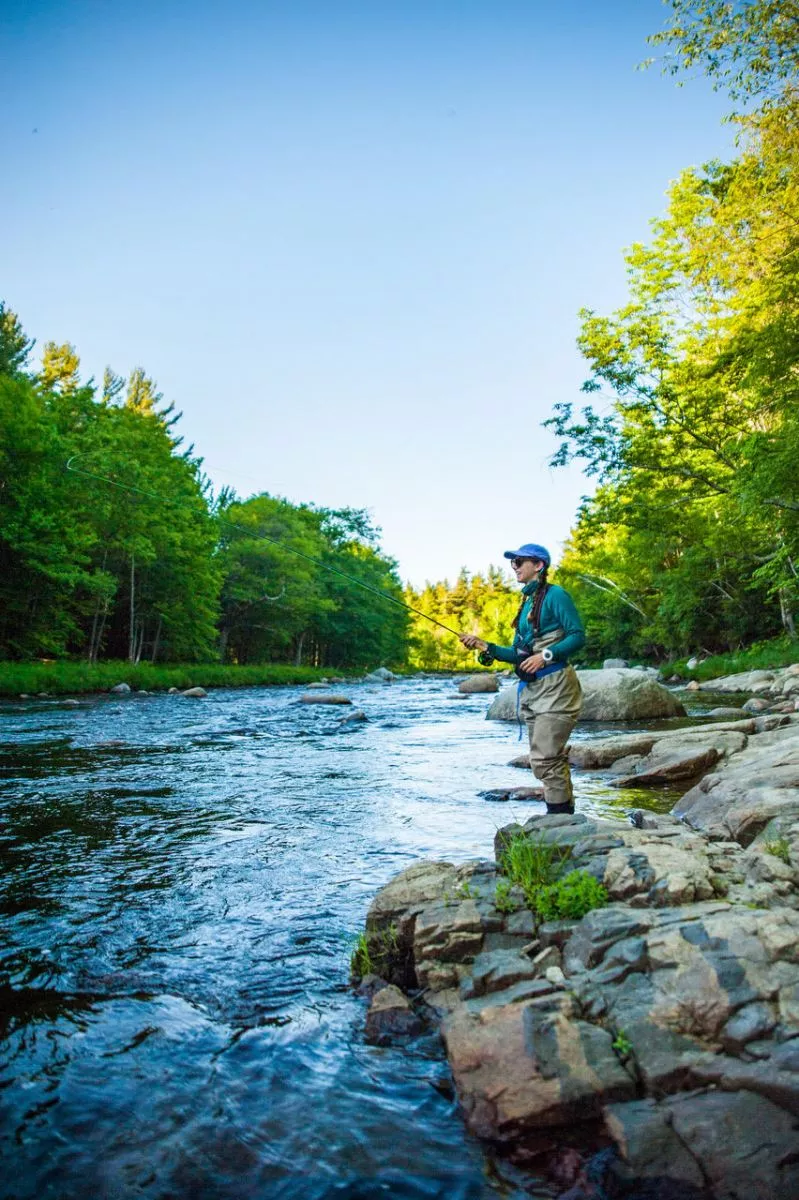 Home - Hungry Trout Fly Shop