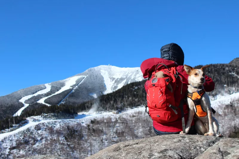 Don't leave that best friend behind when there's so much great exploring to be had.