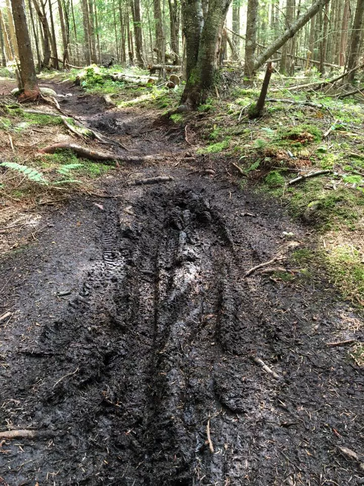 Those ruts tell a tale: This trail is too muddy to ride!
