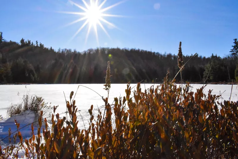 Clements Pond in the warm winter sun.