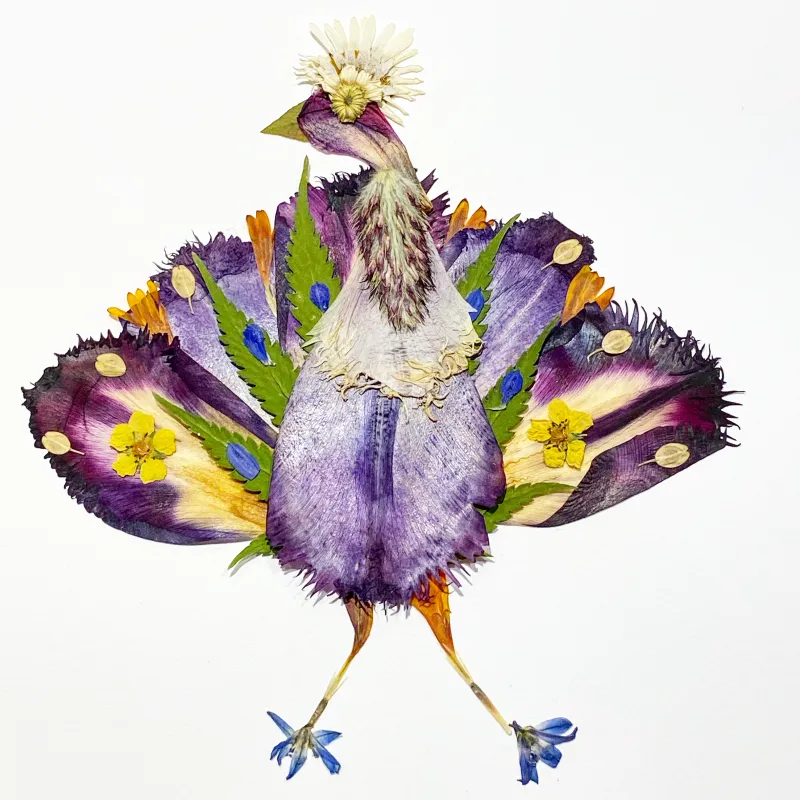 The artist recreates a peacock out of flowers. The bird is portrayed with purples flowers and pops of blue and green give definition to the wings. Photo by Alison Haas.