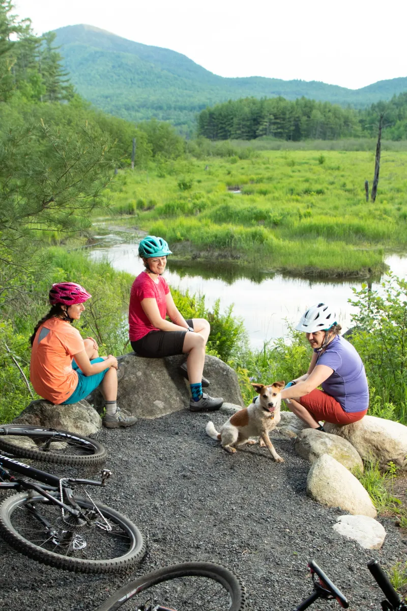 Three women and a dog sitting on rocks by a pond