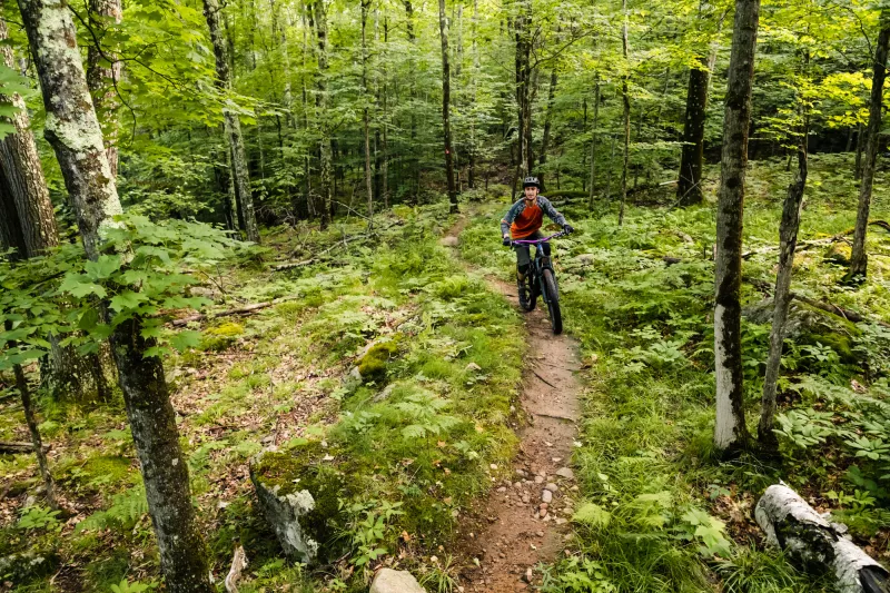biker riding through the forest