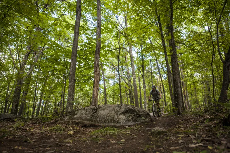 A biker cuts through a trail on the woods