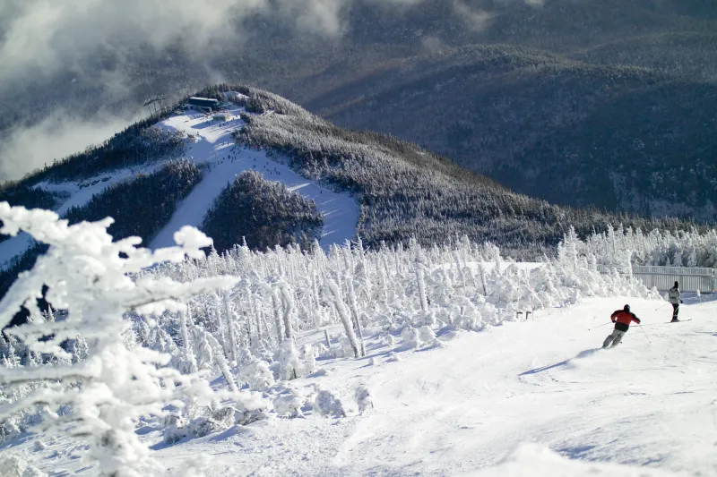 Trees covered in snow line a trail which two people are skiing down.