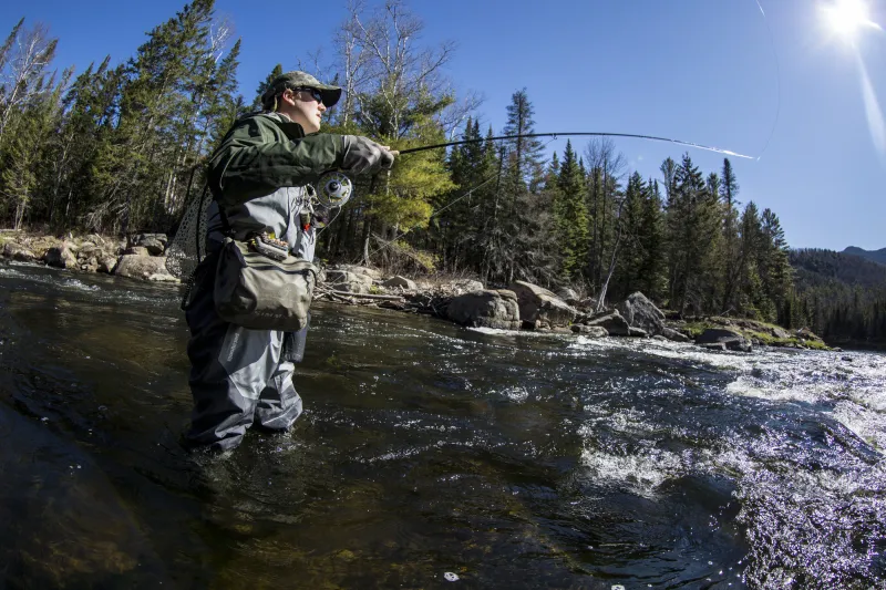 A person fly fishing while standing in the river. Trees line the bank behind him.