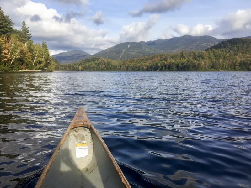 a canoe nose sticks out on the water surrounded by foliage.