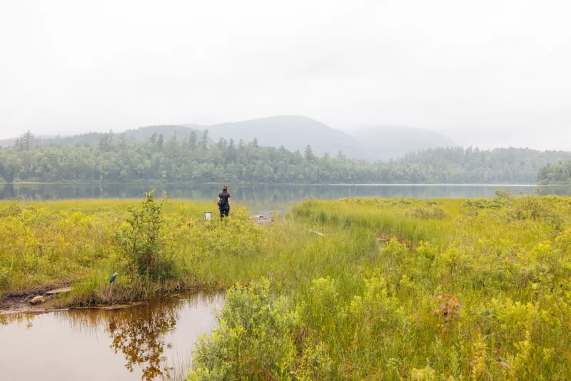 A woman stands along the grassy shore of Connery Pond, with atmospheric haze and Whiteface Mountain in the distance