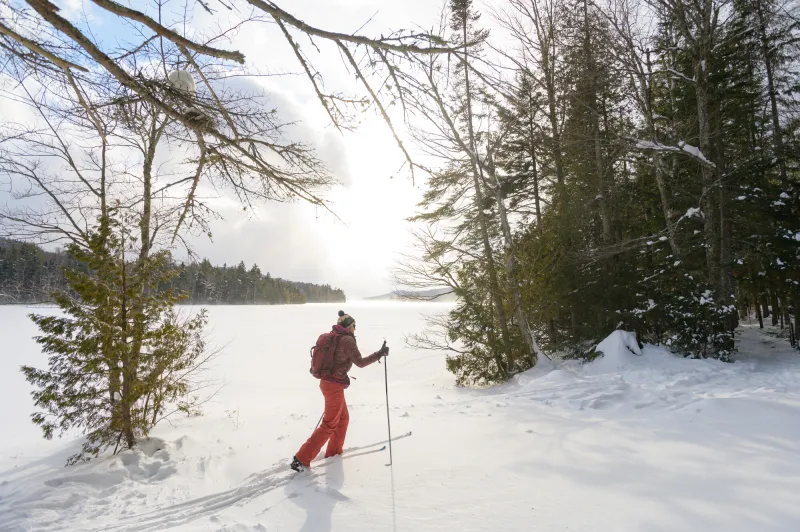 A woman cross-country skis on a trail by a frozen lake.