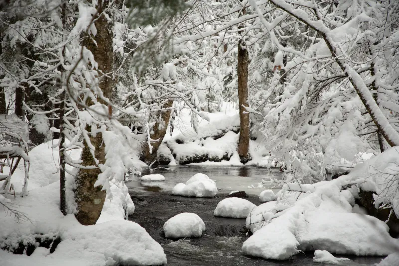 A section of the Ausable River on a snowy day