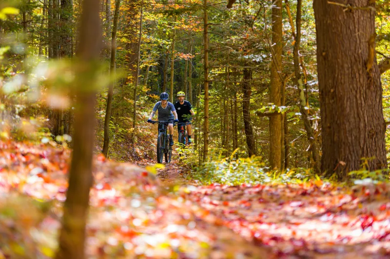 Two mountain bike riders amid a thick forest. Fallen fall foliage covers the ground.