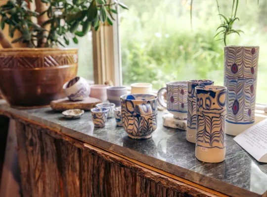 Blue and white pottery and jade plant on a shelf in front of a bright window