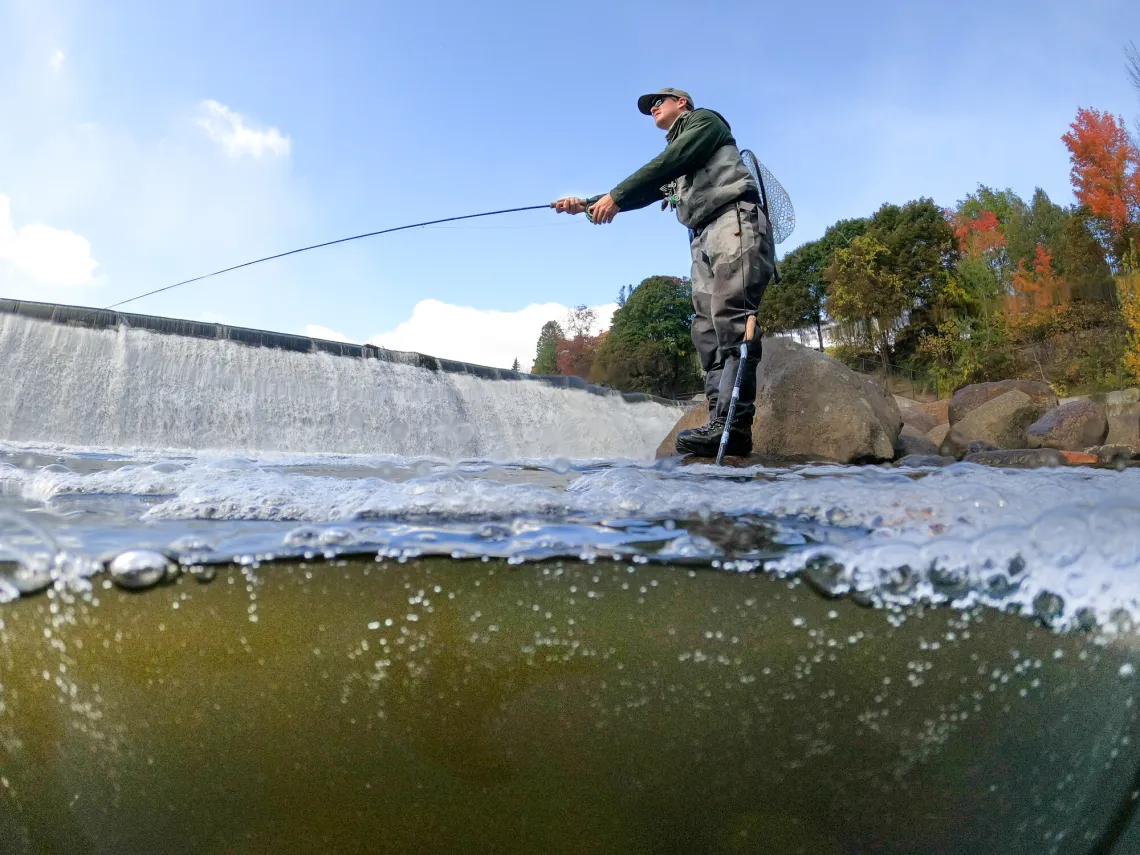 Double-Sided Fishing Box, Convenience Fly Fishing Box, For Fishing