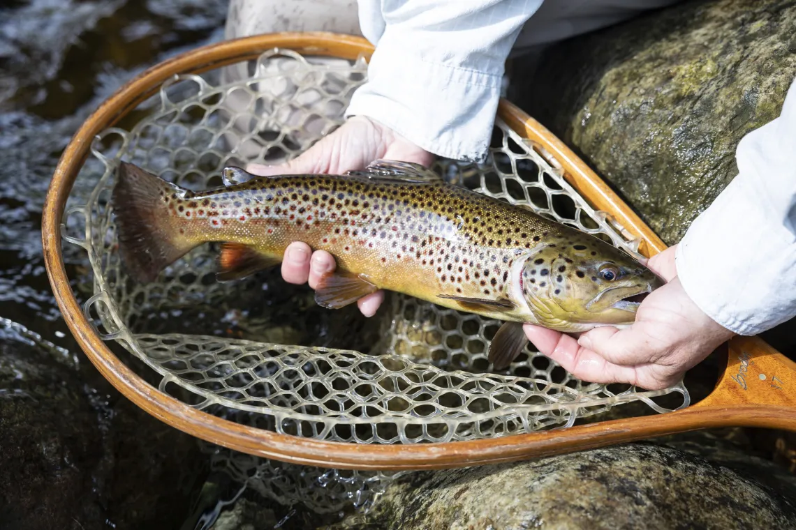 Adirondack Fishing