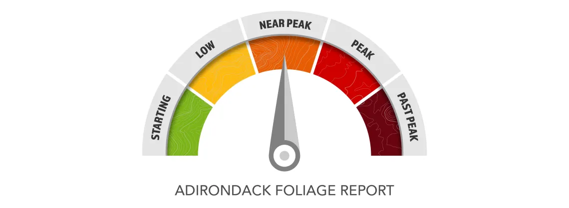 near peak foliage meter.