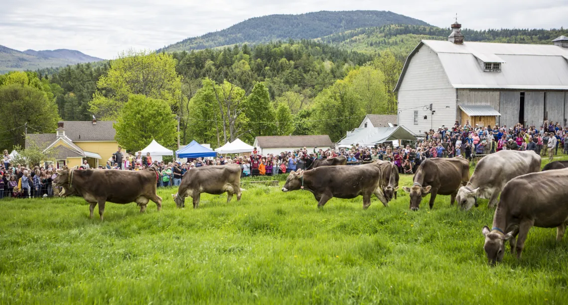 Green Grass Getdown at Sugar House Creamery