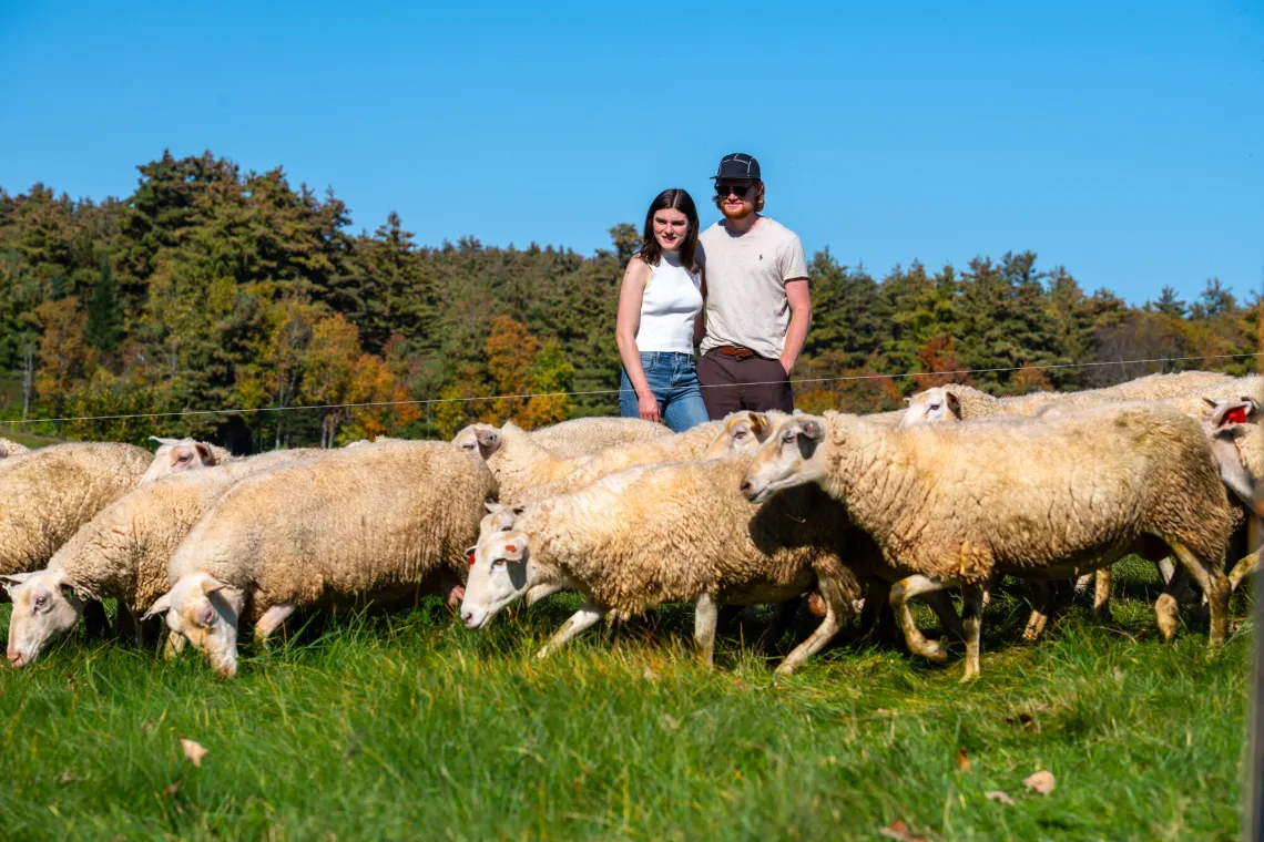 Couple with sheep at Blue Pepper Farm